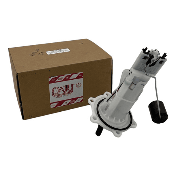 Bomba Inyeccion De Gasolina Dominar 400 Gaju 2