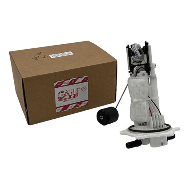 Bomba Inyeccion De Gasolina Dominar 400 Gaju 3