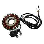 Corona Bobinas / Estator Akt Ttr 180-cr5-ttx  Original 3