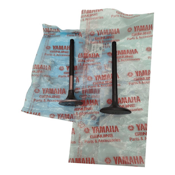 Valvulas Fz250 Admison Y Escape Original 2