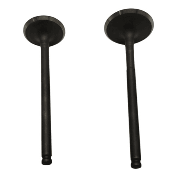 Valvulas Dr 150  ( Shanti ) 2