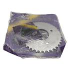 Plato - Piñón C100-wave Ll 14-38 ( Kanuni ) 3