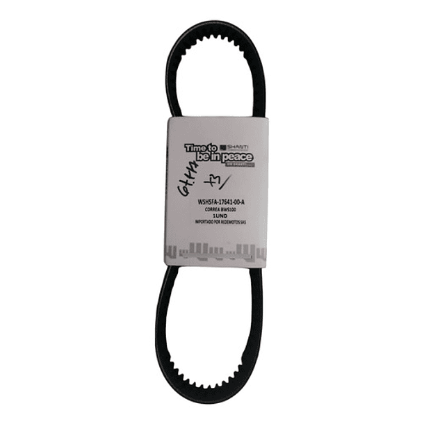 Polea Genérica Bws100 Shanti Para Moto 3