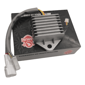 Regulador De Corriente Tvs100 Sports Kanuni