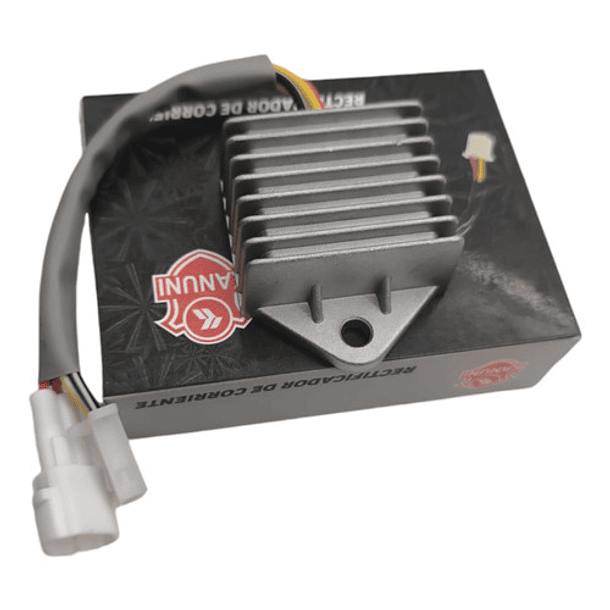 Regulador De Corriente Tvs100 Sports Kanuni 1