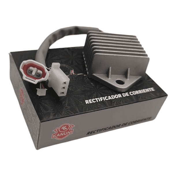Regulador De Corriente Tvs100 Sports Kanuni 3