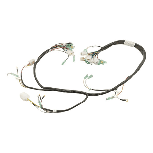 Ramal Electrico Dt-125 Special // Distriremoto // 2