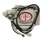 Ramal Electrico Dt-125 Mod 94/95 // Distriremotos // 2