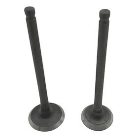 Valvulas Ax4-viva R Shanti