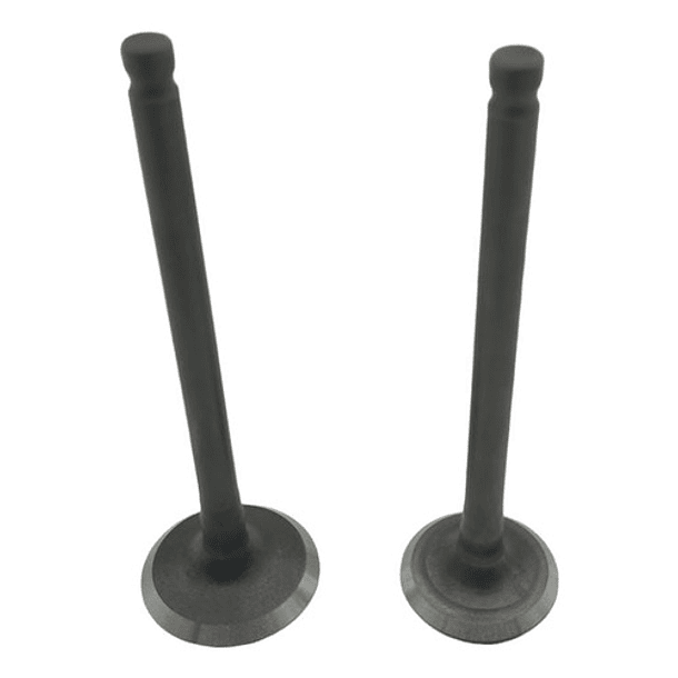 Valvulas Ax4-viva R Shanti