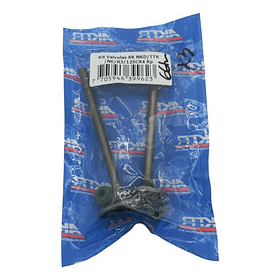 Valvula Con Sello Akt/ Sl/ Nkd/ Ttr / Tt // Original // 