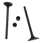 Valvula Con Sello Akt/ Sl/ Nkd/ Ttr / Tt // Original //  2