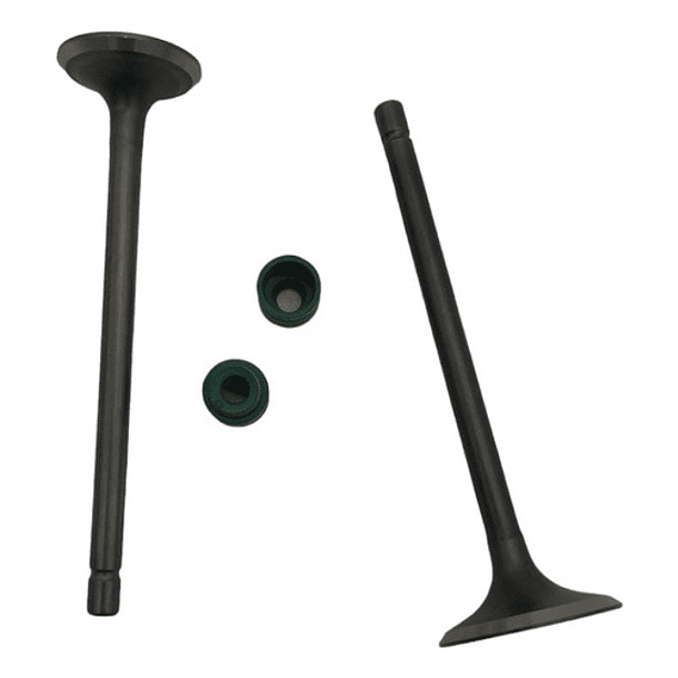 Valvula Con Sello Akt/ Sl/ Nkd/ Ttr / Tt // Original //  2