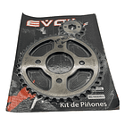 Plato Piñon Discover-135 Auteco Acerado // Evol //  2