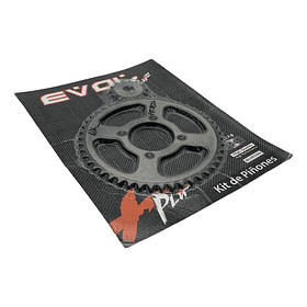 Plato Piñon Dt-125 4h 14p/ 47p Acerado // Evol // 