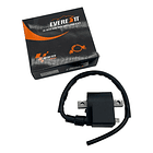 Bobinal De Alta Ax-100/ts-125/fr-80/100 // Everestt // 2