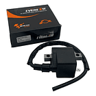 Bobinal De Alta Ax-100/ts-125/fr-80/100 // Everestt // 3