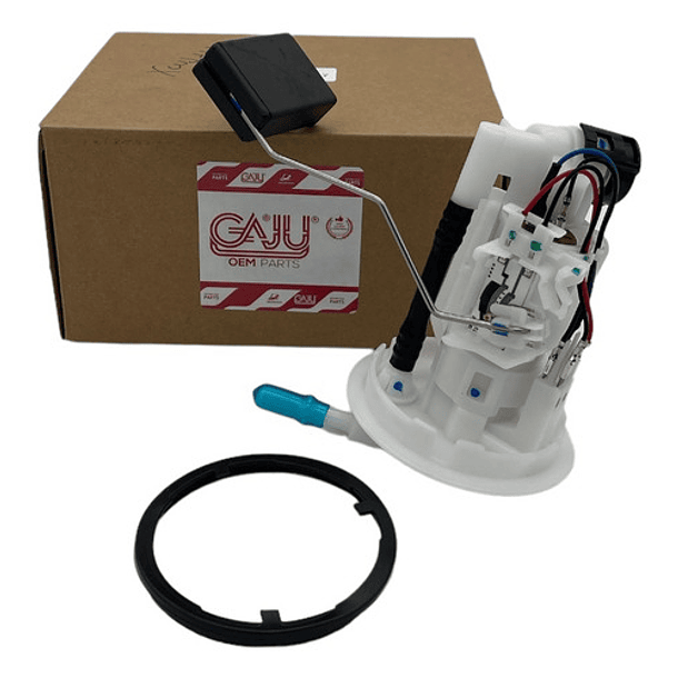 Bomba Inyeccion De Gasolina Xtz250 Completa // Gaju //  1