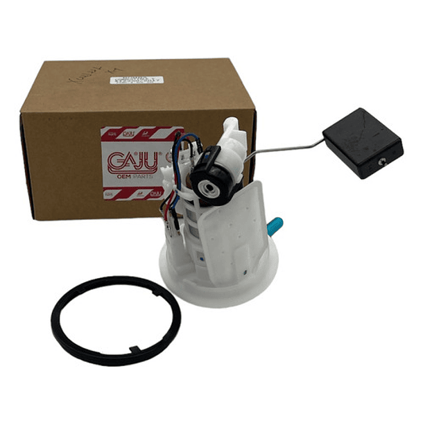 Bomba Inyeccion De Gasolina Xtz250 Completa // Gaju //  2