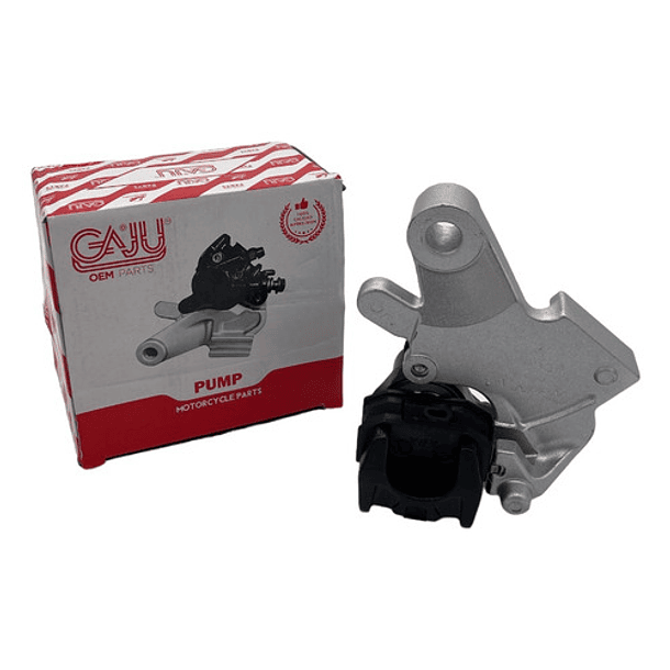 Mordaza De Freno Trasero Fz2.0-250 Con Base Gaju 2