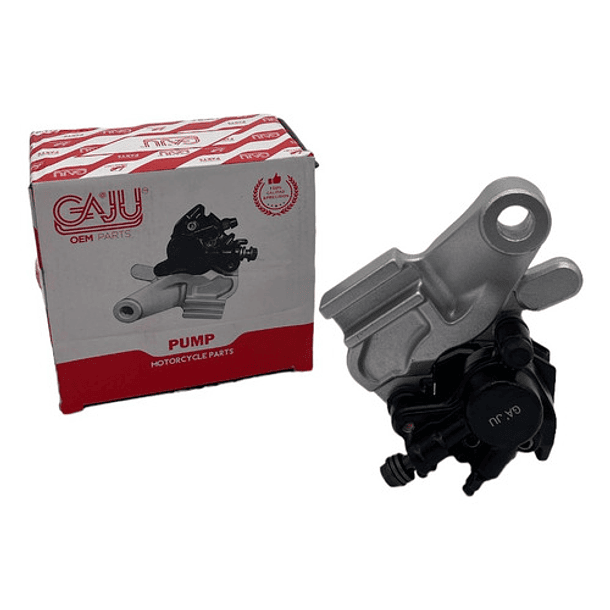 Mordaza De Freno Trasero Fz2.0-250 Con Base Gaju 3