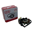 Plato Bobinas Pulsar 135 Gaju  2