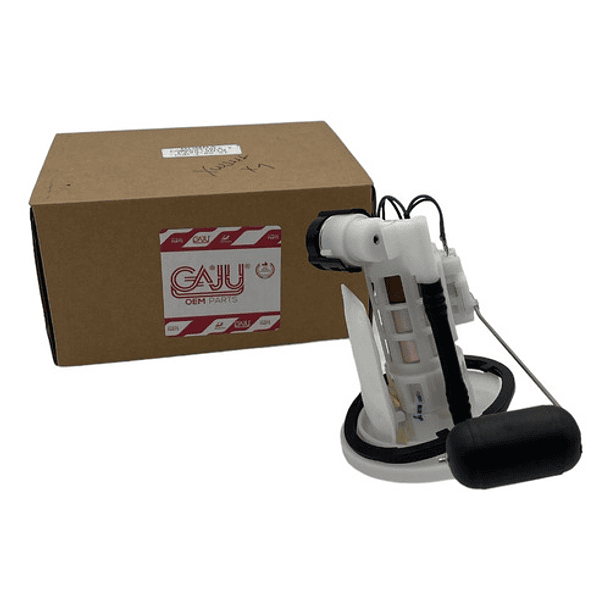 Bomba Inyeccion De Gasolina Fz250 Completa Gaju  2