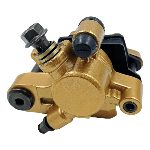 Mordaza De Freno Trasero Xre300 Sin Base ( Gaju ) 3