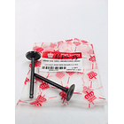 Valvula Admision Y Escape Vivax-115best/viva //coronita//  2