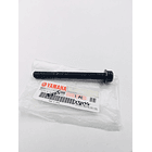 Tornillo De Motor Rx-115 Yamaha //original//  2