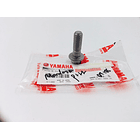 Tornillo De Mordaza Dt-125/rx-115 Yamaha //original//  4