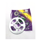 Plato Piñon Ax-100 //nko// 2