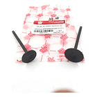 Valvula De Admicion Y Escape Fz-16/sz-150/fazer //coronita// 2