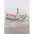 Pulverizador De Carburador Dt-125 Yamaha //original// 3