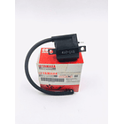 Bobina De Alta Dt125-rx115-v80-cripton 110 Original          5