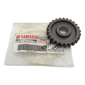 Piñon Loco Rx115 Dt125 Original