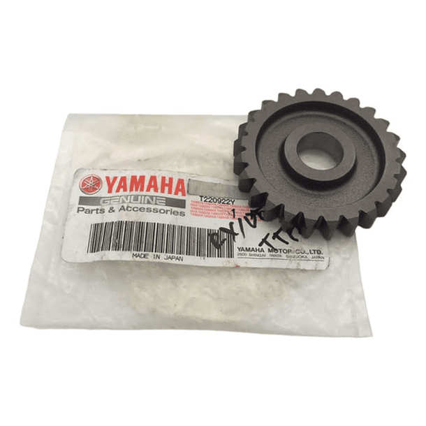 Piñon Loco Rx115 Dt125 Original 1