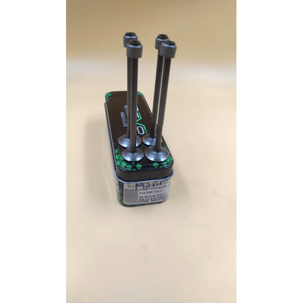 Valvulas Admision Y Escape Con Sellos Autecopulsar135 /revo/ 1