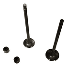 Valvulas Admision Y Escape Discover100 Auteco //mps// 2