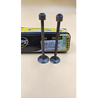 Valvulas Admision Y Escape Discover100 Auteco //mps// 3