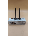 Valvulas Admision Y Escape Tvs100 Sport //wshanty// 2