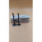 Valvulas Admision Y Escape Tvs100 Sport //wshanty// 3