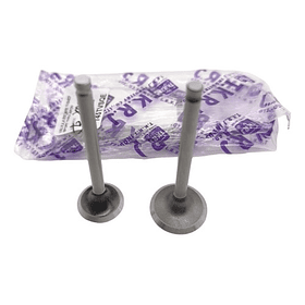 Valvulas Admision Y Escape Tvs100 Sport //tkrj//