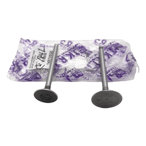 Valvulas Admision Y Escape Tvs100 Sport //tkrj// 4