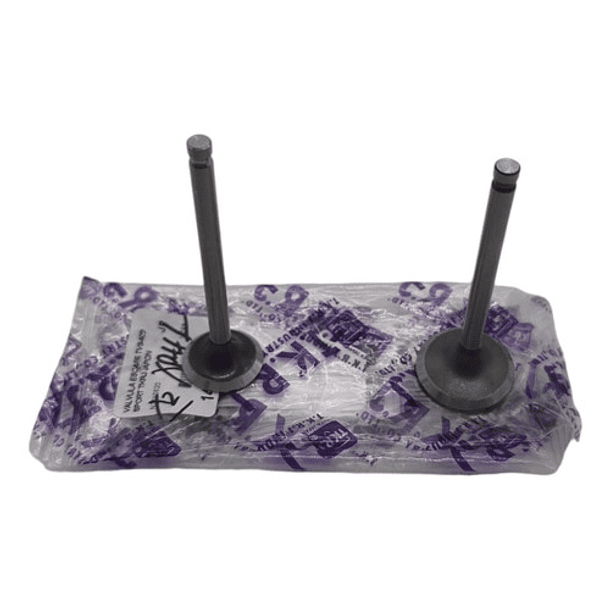 Valvulas Admision Y Escape Tvs100 Sport //tkrj// 5