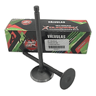 Valvulas Admision Y Escape Fz16/fazer/szr150 //duramax 1