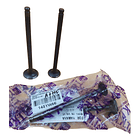 Válvulas Admisión / Escape Yamaha Bws125/ X / F I /  T K R J 1