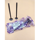 Válvulas Admisión / Escape Yamaha Bws125/ X / F I /  T K R J 2