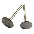 Valvulas Admision Y Escape Libero110 //shanti// 2