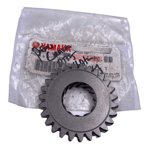 Piñón De Crank  Dt 125 ( Original ) 1